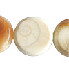Muschelperlen Diverse Formen